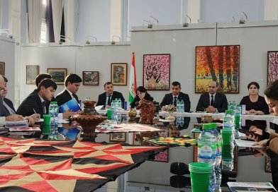 Донишкадаи давлатии санъати тасвирӣ ва дизайни Тоҷикистон