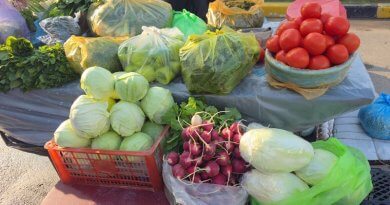 Ярмарка-фурӯши маҳсулот тавақуфгоҳи Мақомоти иҷроияи ҳокимияти давлатии ноҳияи Сино