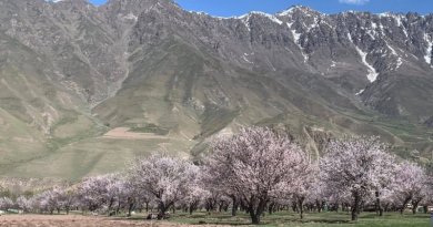 Дар ноҳияи Тоҷикобод Боғи интенсивии «35-солагии Истиқлолият» таъсис дода мешавад Дар ноҳияи Тоҷикобод Боғи интенсивии «35-солагии Истиқлолият» таъсис дода мешавад