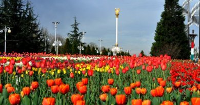 Дар Душанбе даври ҷумҳуриявии озмуни «Сайри гули лола» баргузор мегардад