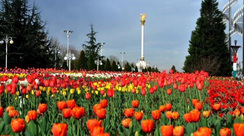 Дар Душанбе даври ҷумҳуриявии озмуни «Сайри гули лола» баргузор мегардад